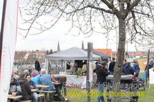 Mandelblütenfest in Edenkoben (Pfalz)