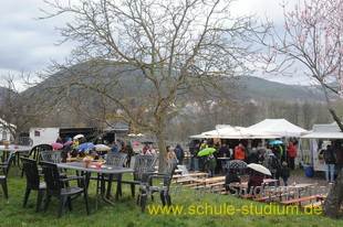 Mandelblütenfest in Edenkoben (Pfalz)