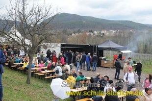 Mandelblütenfest in Edenkoben (Pfalz)