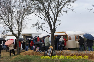 Mandelblütenfest in Edenkoben (Pfalz)