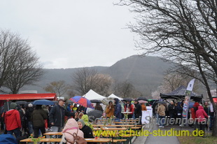 Mandelblütenfest in Edenkoben (Pfalz)