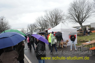 Mandelblütenfest in Edenkoben (Pfalz)