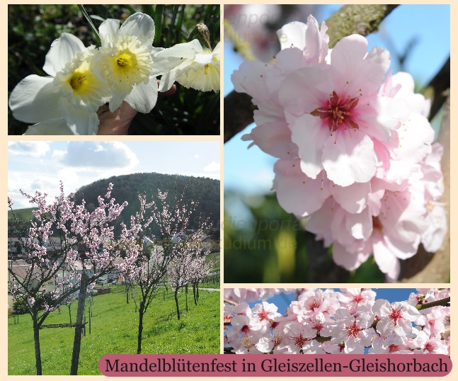 Mandelblütenfest in Gleiszellen-Gleishorbach