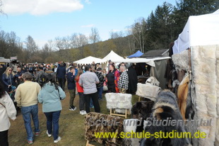 Mittelaltermarkt in Kaiserslautern (Pfalz)