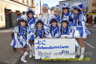 Rosenmontagszug in Mainz