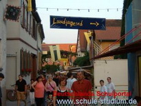 Bilder vom  Weinfest in  Insheim