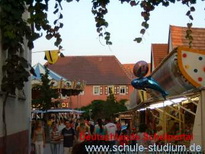 Bilder vom  Weinfest in  Insheim