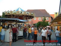 Bilder vom  Weinfest in  Insheim