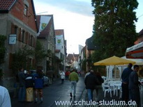 Bilder vom  Weinfest in Landau Nussdorf