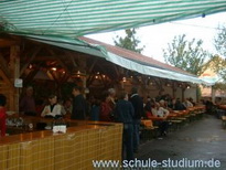 Bilder vom  Weinfest in Landau Nussdorf