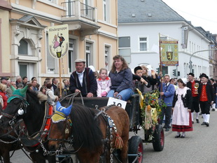 Winzerfestumzug in Neustadt/Weinstrae 2008