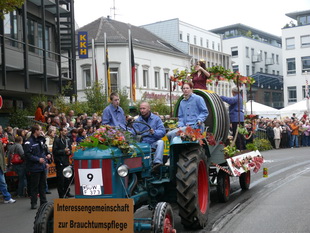 Winzerfestumzug in Neustadt/Weinstrae 2008