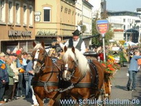 Bilder vom Umzug in Neustadt/Wstr. am 9.10.2005