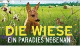 Die Wiese