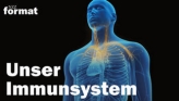 Unser Immunsystem