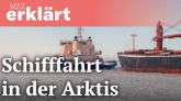 Schifffahrt in der Arktis