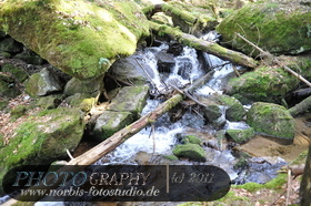 Bühlertal-Wasserfall- Gertelbachfälle