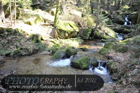 Bühlertal-Wasserfall- Gertelbachfälle