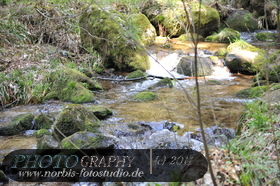 Bühlertal-Wasserfall- Gertelbachfälle