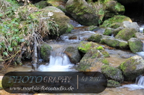 Bühlertal-Wasserfall- Gertelbachfälle