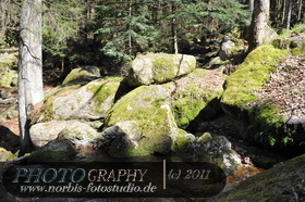 Bühlertal-Wasserfall- Gertelbachfälle