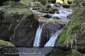 Bühlertal-Wasserfall- Gertelbachfälle