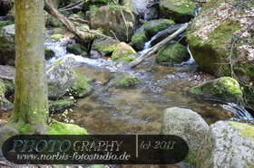 Bühlertal-Wasserfall- Gertelbachfälle