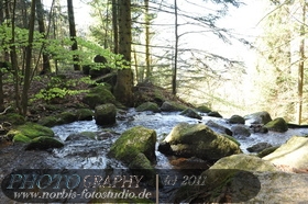 Bühlertal-Wasserfall- Gertelbachfälle