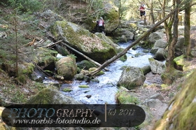 Bühlertal-Wasserfall- Gertelbachfälle