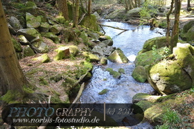 Bühlertal-Wasserfall- Gertelbachfälle