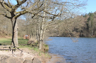 Der Seehof unterhalb der Burg Bewartstein (Südwestpfalz)