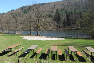 Der Seehof unterhalb der Burg Bewartstein (Südwestpfalz)