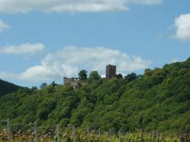 Burg Landeck in  Klingenmünster