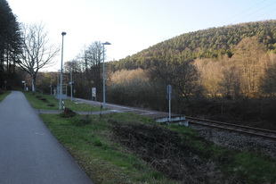 Die Burg Neudahn(Südwestpfalz)