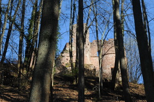 Die Burgruine Neudahn (Südwestpfalz)