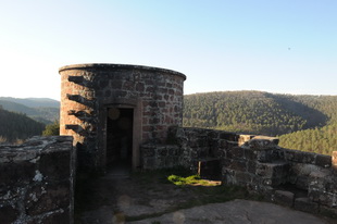 Die Burgruine Neudahn(Südwestpfalz)