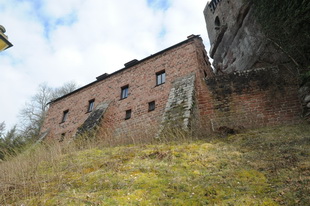 Die Burg Spangenberg (Pfalz)