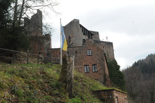 Die Burg Spangenberg (Pfalz)