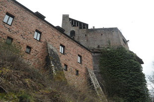 Die Burg Spangenberg (Pfalz)