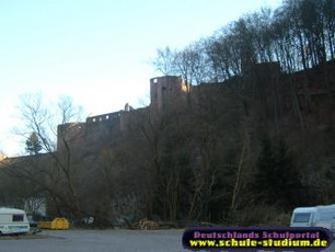 Die Hardenburg  in  Bad Dürkheim