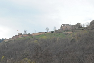 Die Burg(-ruine) Wolfsburg