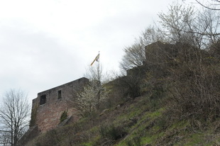 Die Burg(-ruine) Wolfsburg