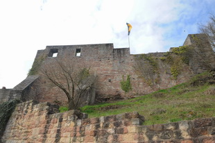 Die Burg(-ruine) Wolfsburg