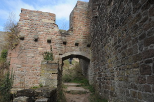 Die Burg(-ruine) Wolfsburg