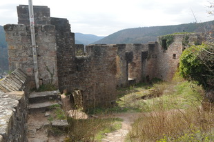 Die Burg(-ruine) Wolfsburg