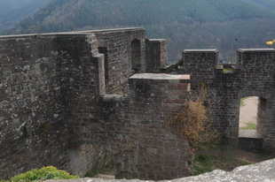 Die Burg(-ruine) Wolfsburg