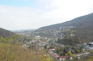 Die Burg(-ruine) Wolfsburg