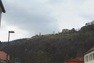 Die Burg(-ruine) Wolfsburg