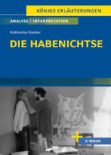 Interpretationshilfe: Habenichtse