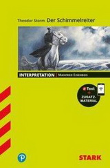 Der Schimmelreiter: Interpretationen / Zusammenfassung, Analyse